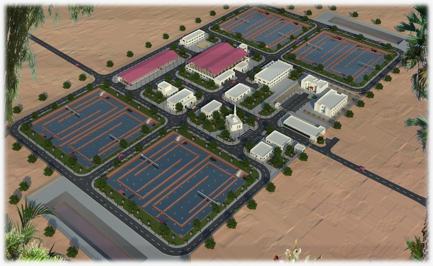 Al Wajed - Tathless - KSA Desalination Plant capacity 100,000 m3/d